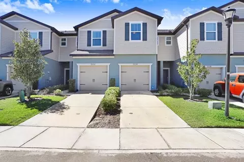5034 Blue Latan Ln, Tampa, FL 33610