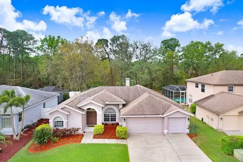 10014 Vista Pointe Dr, Tampa, FL 33635
