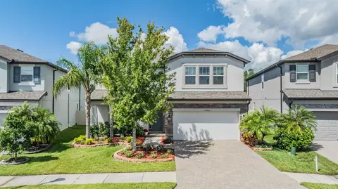 19445 Redwood Point Dr, Tampa, FL 33647