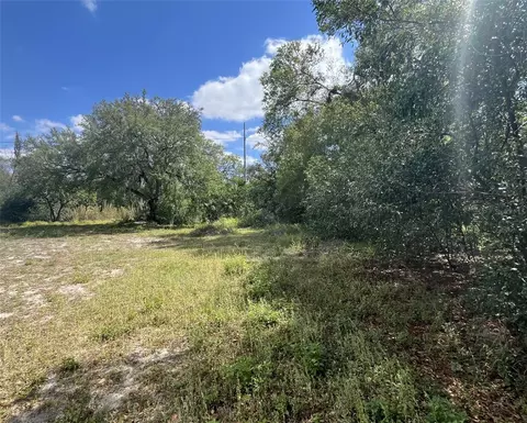 107 Pine St, Dundee, FL 33838