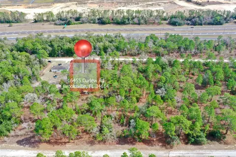 16455 Curlew Rd, Brooksville, FL 34614
