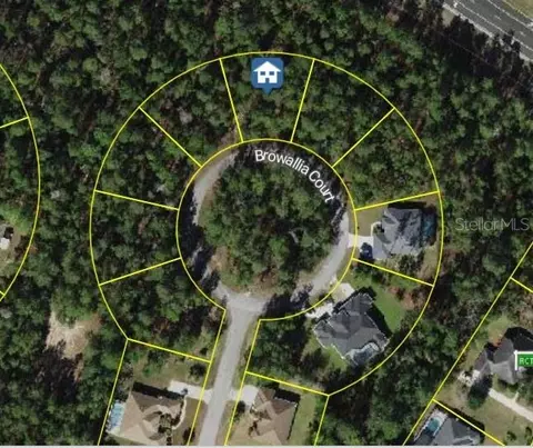 25 Browallia Ct, Homosassa, FL 34446