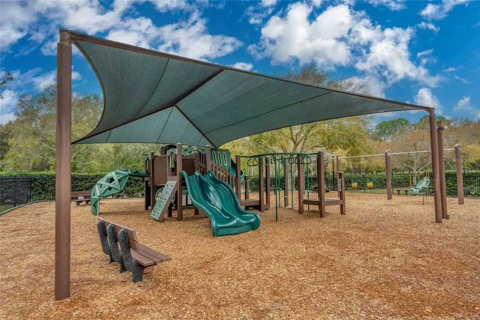 Other - 15618 Shoal Creek Pl, Odessa, FL 33556 photo 22 of 25