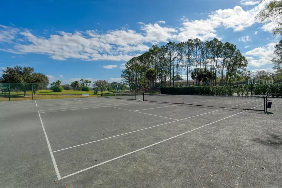 View/Area - 15618 Shoal Creek Pl, Odessa, FL 33556 photo 2 of 11