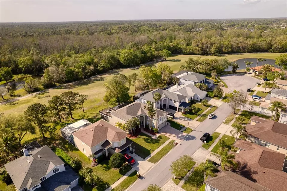 View/Area - 15618 Shoal Creek Pl, Odessa, FL 33556 photo 10 of 11