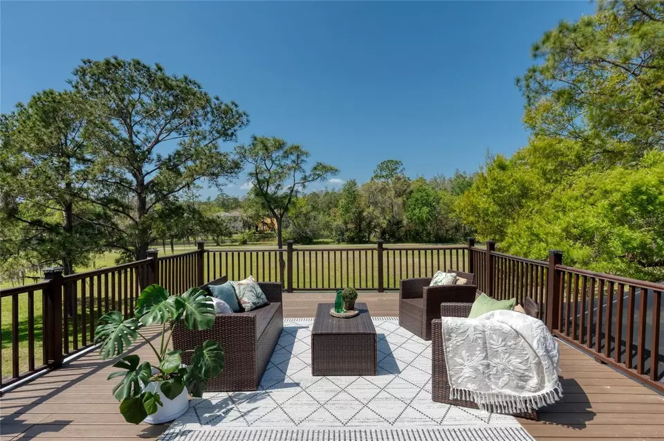 Exterior - 15618 Shoal Creek Pl, Odessa, FL 33556 photo 8 of 21