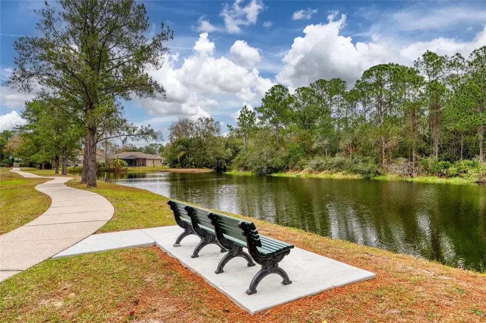 View/Area - 15618 Shoal Creek Pl, Odessa, FL 33556 photo 6 of 11