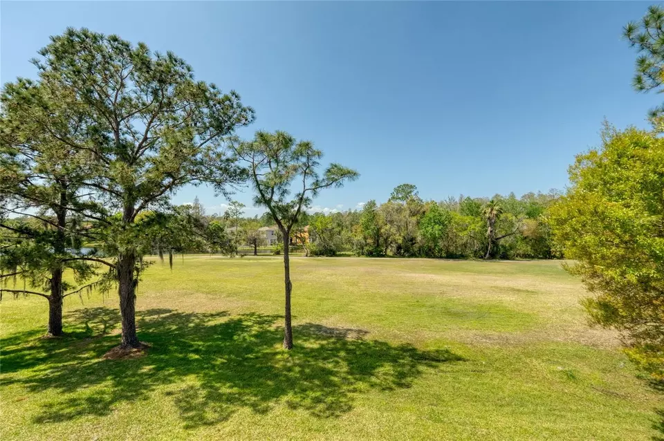 Other - 15618 Shoal Creek Pl, Odessa, FL 33556 photo 25 of 25