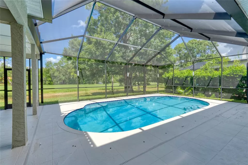 Exterior - 15618 Shoal Creek Pl, Odessa, FL 33556 photo 11 of 21