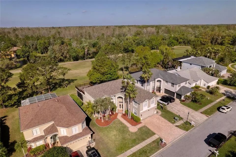 View/Area - 15618 Shoal Creek Pl, Odessa, FL 33556 photo 1 of 11