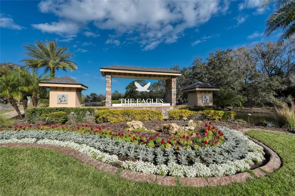 View/Area - 15618 Shoal Creek Pl, Odessa, FL 33556 photo 11 of 11
