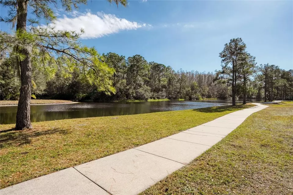 View/Area - 15618 Shoal Creek Pl, Odessa, FL 33556 photo 7 of 11