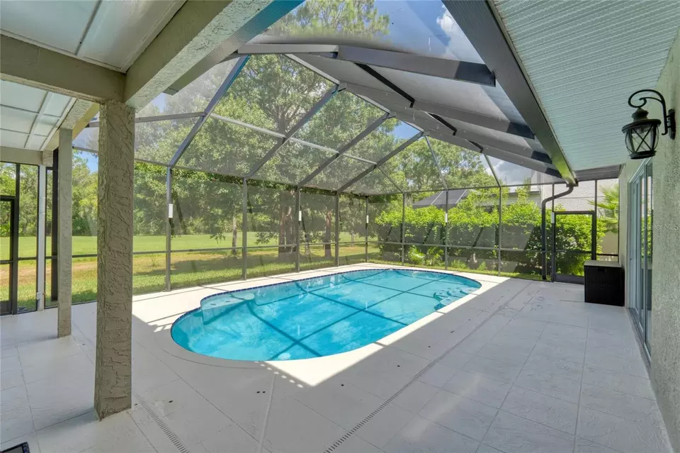 Exterior - 15618 Shoal Creek Pl, Odessa, FL 33556 photo 13 of 21