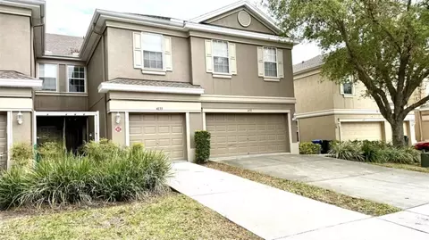 4133 Bismarck Palm Dr, Tampa, FL 33610
