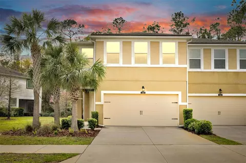 17850 Althea Blue Pl, Lutz, FL 33558