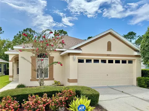 3215 Banyan Hill Ln, Land O Lakes, FL 34639
