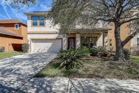 20220 Autumn Fern Ave, Tampa, FL 33647