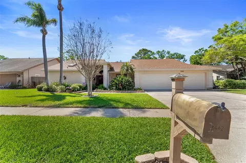 3442 Beech Trl, Clearwater, FL 33761
