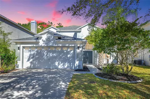 10538 Lucaya Dr, Tampa, FL 33647