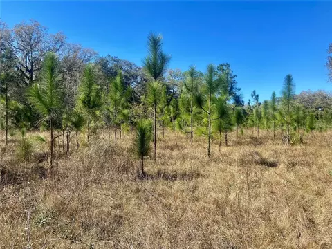 01 Unnamed, Spring Hill, FL 34610 photo 70