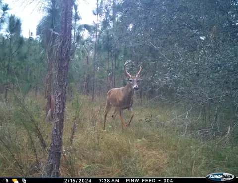 01 Unnamed, Spring Hill, FL 34610 photo 8
