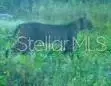 01 Unnamed, Spring Hill, FL 34610 photo 18