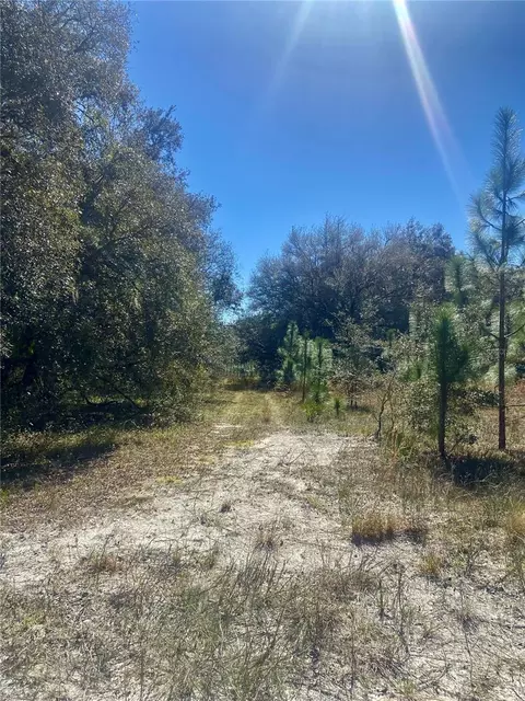 01 Unnamed, Spring Hill, FL 34610 photo 53