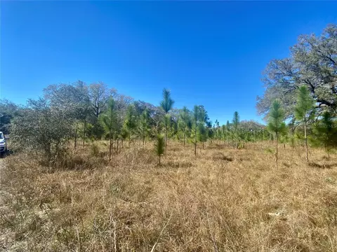 01 Unnamed, Spring Hill, FL 34610 photo 3