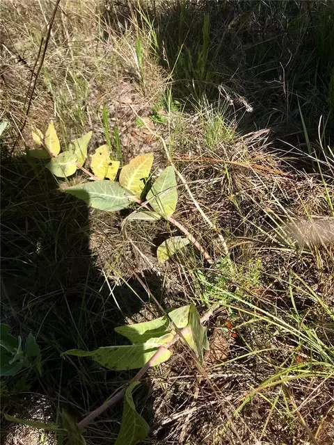 01 Unnamed, Spring Hill, FL 34610 photo 80