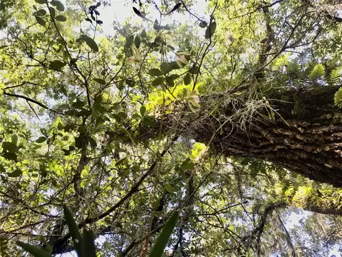 01 Unnamed, Spring Hill, FL 34610 photo 82