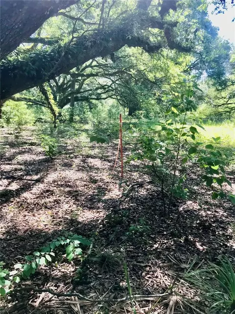 01 Unnamed, Spring Hill, FL 34610 photo 51