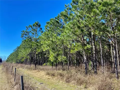 01 Unnamed, Spring Hill, FL 34610 photo 54