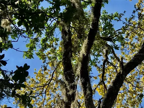 01 Unnamed, Spring Hill, FL 34610 photo 39