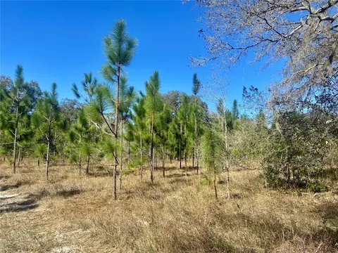 01 Unnamed, Spring Hill, FL 34610 photo 62