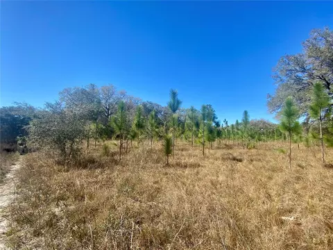 01 Unnamed, Spring Hill, FL 34610 photo 68