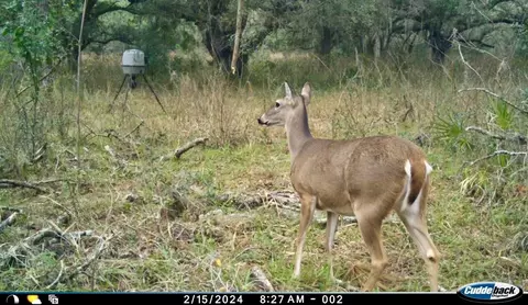 01 Unnamed, Spring Hill, FL 34610 photo 31
