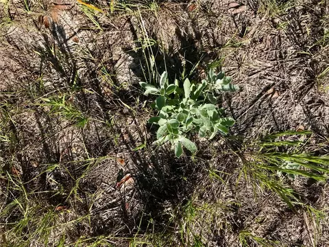 01 Unnamed, Spring Hill, FL 34610 photo 46
