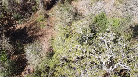 01 Unnamed, Spring Hill, FL 34610 photo 49