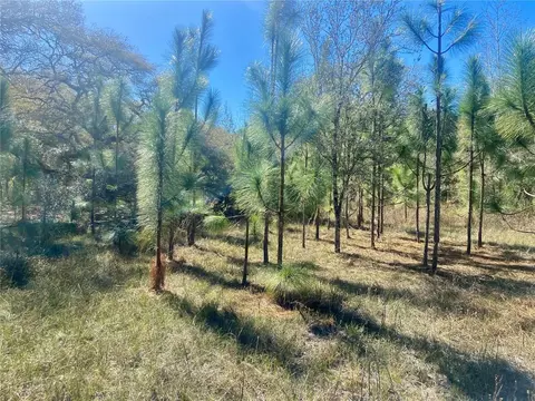 01 Unnamed, Spring Hill, FL 34610 photo 58