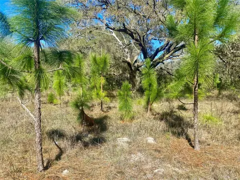 01 Unnamed, Spring Hill, FL 34610 photo 76