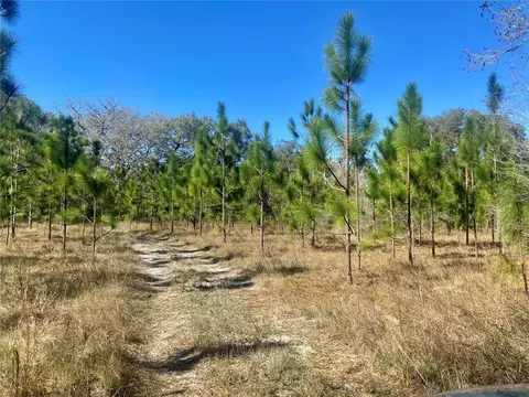 01 Unnamed, Spring Hill, FL 34610
