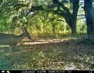 01 Unnamed, Spring Hill, FL 34610 photo 17