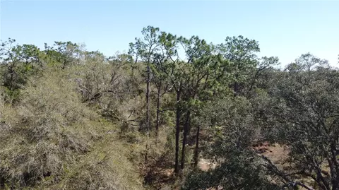 01 Unnamed, Spring Hill, FL 34610 photo 15