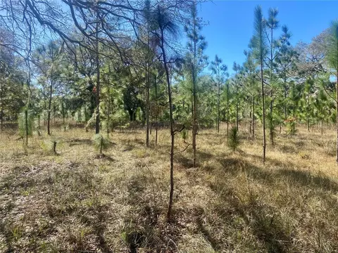 01 Unnamed, Spring Hill, FL 34610 photo 63