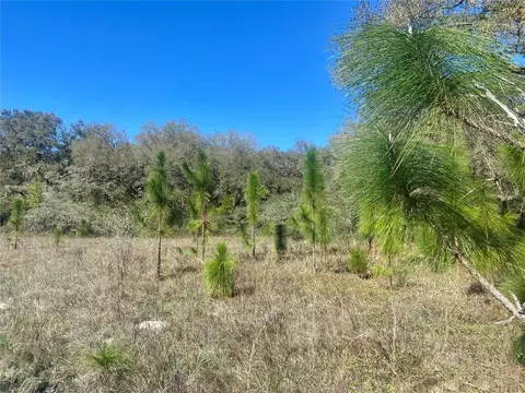 01 Unnamed, Spring Hill, FL 34610 photo 77