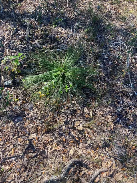 01 Unnamed, Spring Hill, FL 34610 photo 74