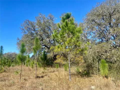 01 Unnamed, Spring Hill, FL 34610 photo 7