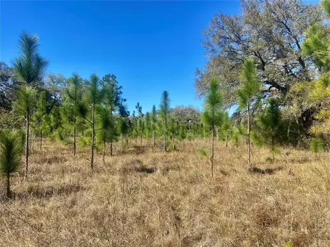 01 Unnamed, Spring Hill, FL 34610 photo 69