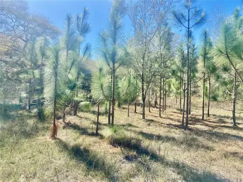 01 Unnamed, Spring Hill, FL 34610 photo 4