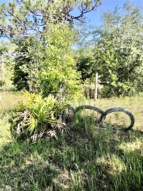 01 Unnamed, Spring Hill, FL 34610 photo 43